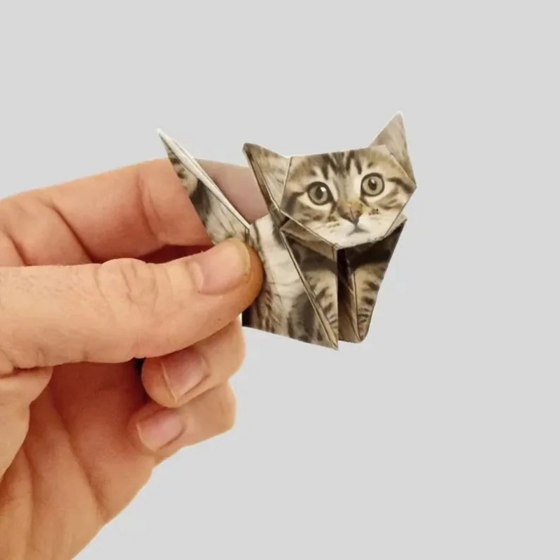Gatos de papel creativos DIY,  - Art Craft Dinosaurs reseña y precio