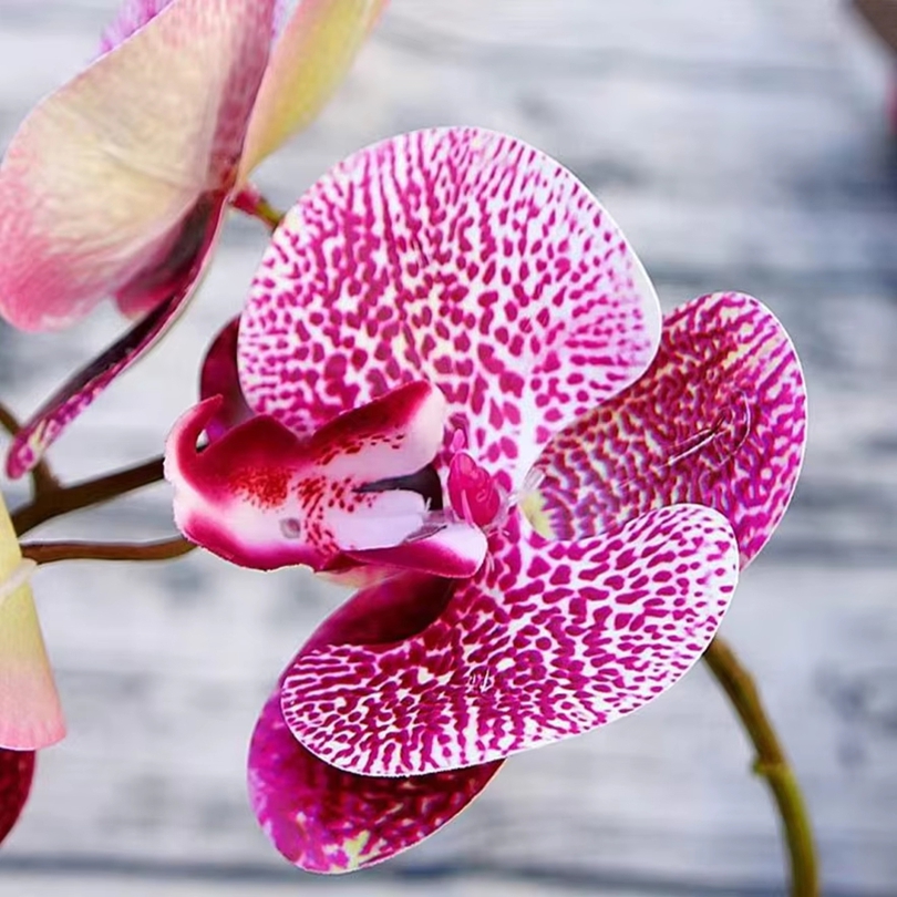 Flores artificiales 3D, maripo - Art Craft Vase reseña y precio