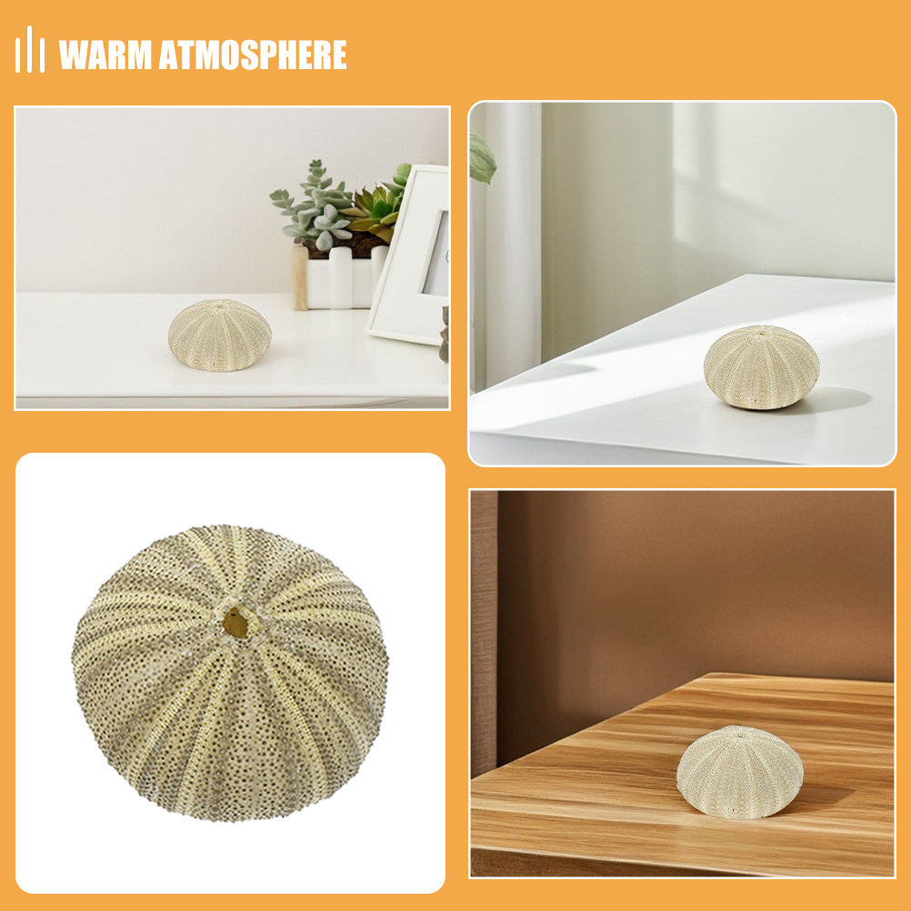 18 piezas de conchas de erizo  - Art Craft Vase reseña y precio