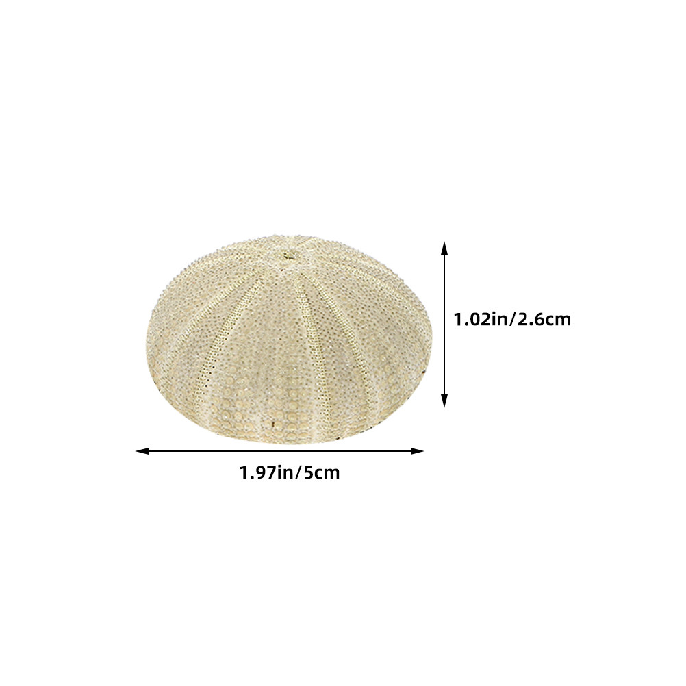 18 piezas de conchas de erizo  - Art Craft Vase reseña y precio