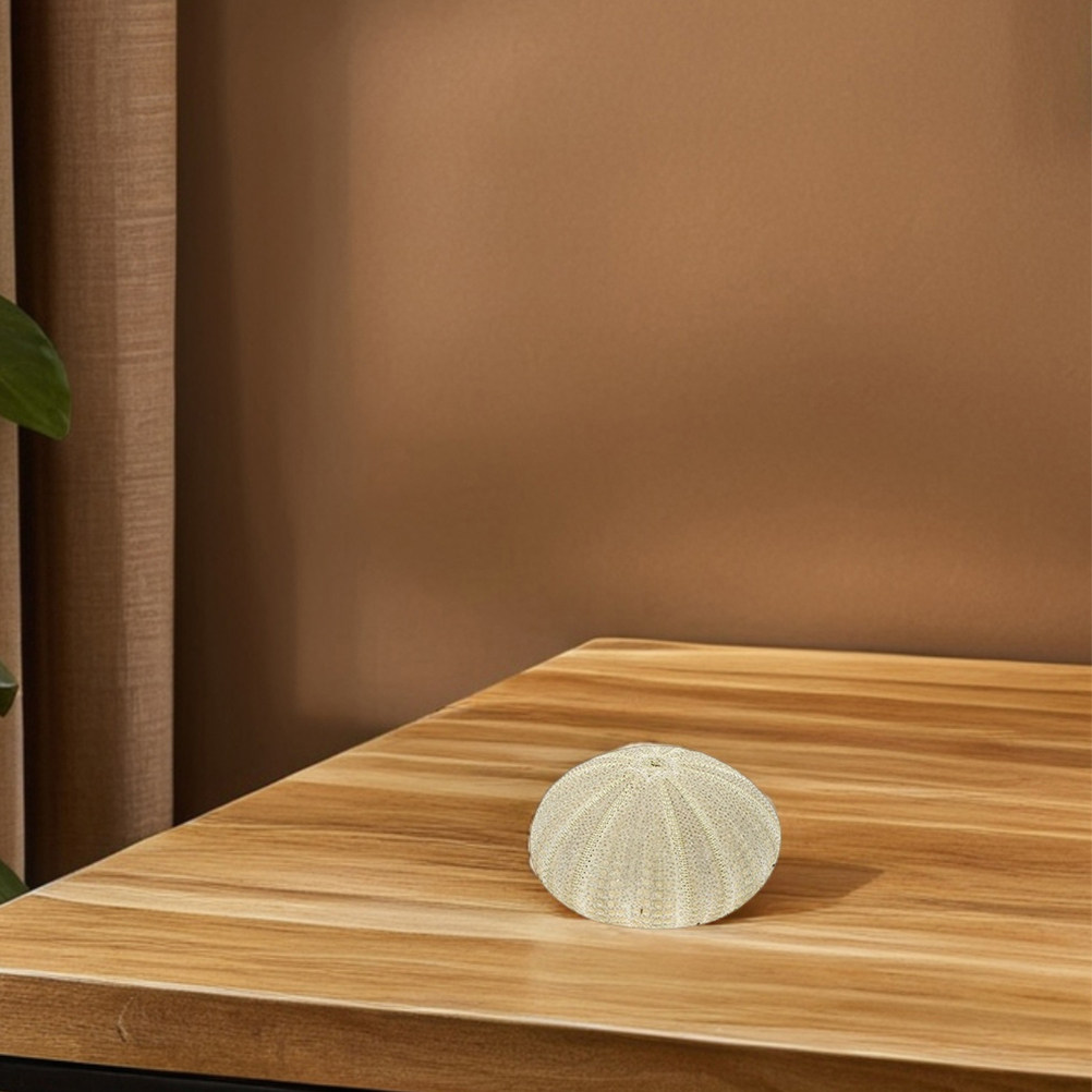 18 piezas de conchas de erizo  - Art Craft Vase reseña y precio